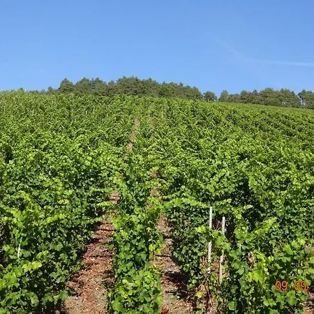 Marmann - Large Osann-Monzel