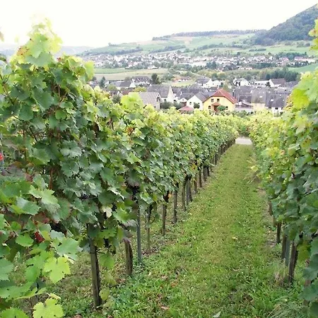 Prázdninový dům Marmann - Large