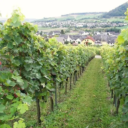 Marmann - Large Prázdninový dům *