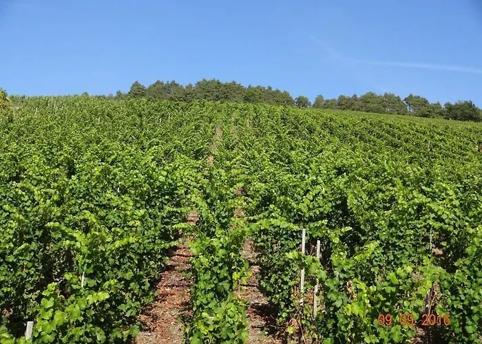 Marmann - Large Osann-Monzel