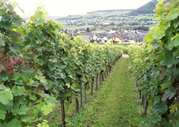 בית נופש Marmann - Large