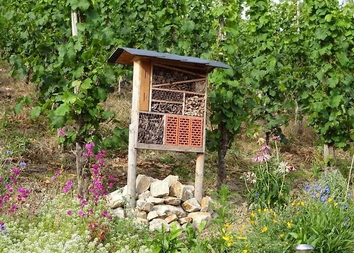 בית נופש Marmann - Large