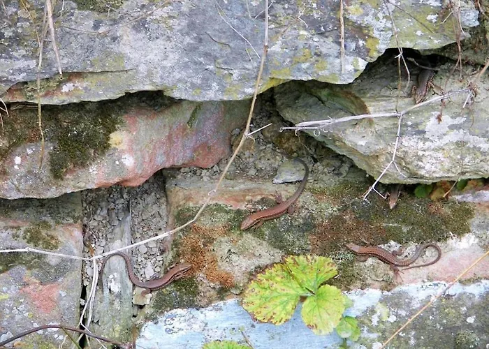 בית נופש Marmann - Large Osann-Monzel